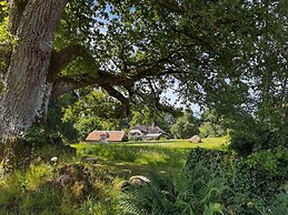 Woodtown in Chagford