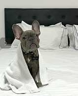 Hotel Fenix