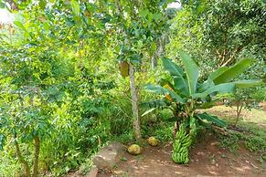 Hilltop Retreat Matale