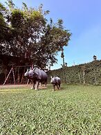Kumar Green Resort