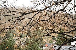 Villa Hedwig - Schwarzwald