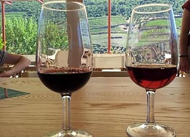 Haro San Vino Wine Fight Camping
