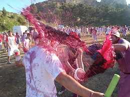 Haro San Vino Wine Fight Camping