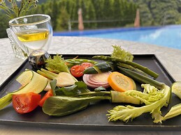 THE ACONCAGUA RESORTS