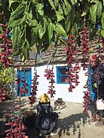 Junegiri Farms & Homestay