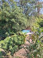 Junegiri Farms & Homestay