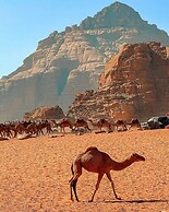 Wadi rum Aviva camp