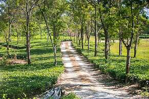 Papumpare Jungle Resort