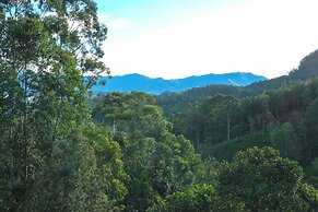 Ivory Canopy resort