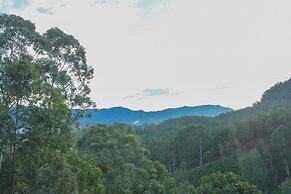 Ivory Canopy resort