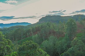Ivory Canopy resort