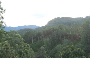 Ivory Canopy resort