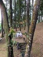 The Pine Forest Villas