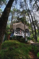 The Pine Forest Villas