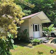 The Pine Forest Villas