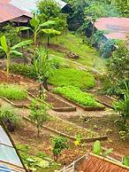 Baan Suan Pha Mi