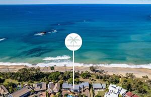 Shell Cove by Charlesworth