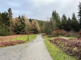 Bumble Bee at 2 Clematis Cottage