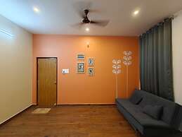 TADY Homes