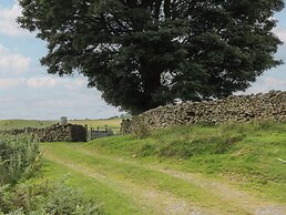 Howgill Head