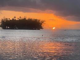 Vahine Ori Lodge