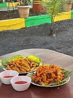Green Paradise Trimbak