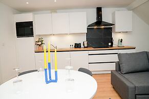 Modern 1BR 1LR Apartment Walk To Rabot