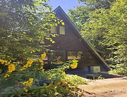 Contemporary Ardennes Chalet in Durbuy