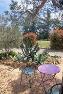 Vintage Provence
