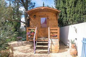 Vintage Provence