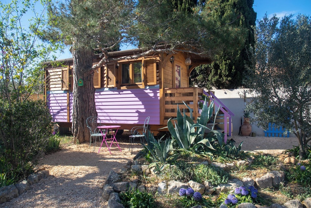 Vintage Provence