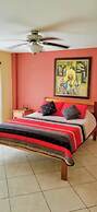 Paradise Apartment and Single Room