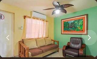 Paradise Apartment and Single Room