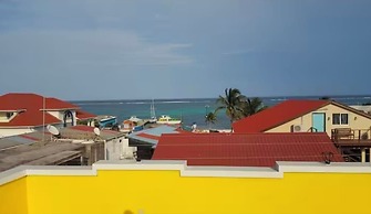 Paradise Apartment and Single Room