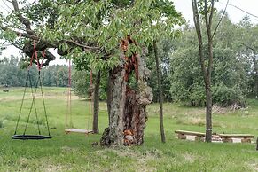 VILANOVKA