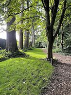 The Green