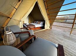 Adventurer Camp
