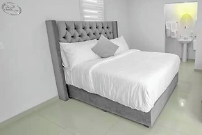 Arbol suite