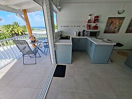 Les cocotiers Anse Montal