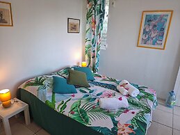 Les cocotiers Anse Montal