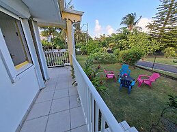 Les cocotiers Anse Montal