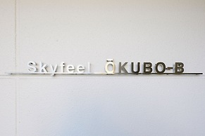 Skyfeel Okubo B