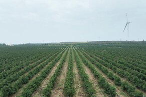 LOSTVILLA Xiaduolan Winery Yinchuan
