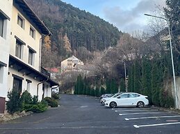 Classic Inn By Radacini