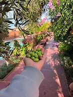 ecolodge dar bouhouta