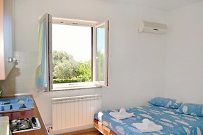 Apartment With Terrace and Garden Access