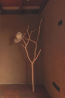 Hotel Ambil