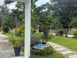 Beautiful Villa Between Jungle