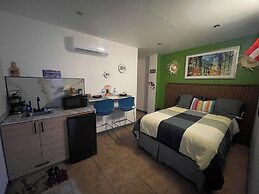 Estudios 303