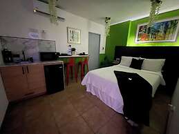Estudios 303